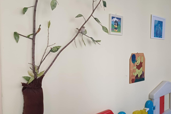 KIAKADT A CUKISÁGMÉRŐ A KÓSBAN